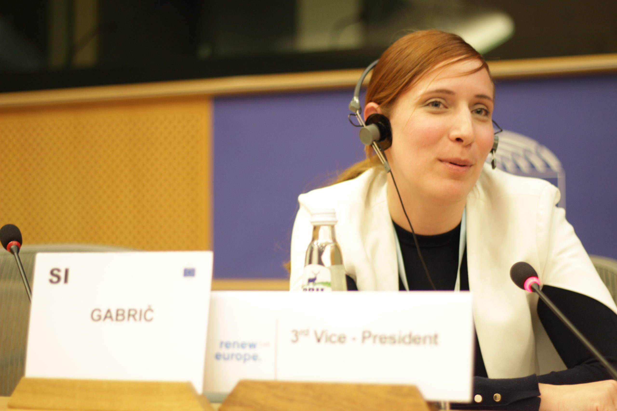 Jasna Gabrič: city to city diplomacy shows promise in North Macedonia