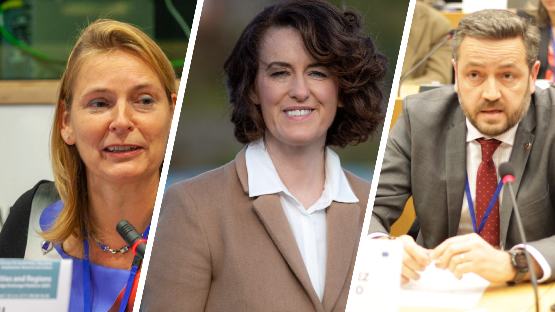 MEP Pislaru and CoR assess chances for recovery and resilience